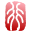 恒行6